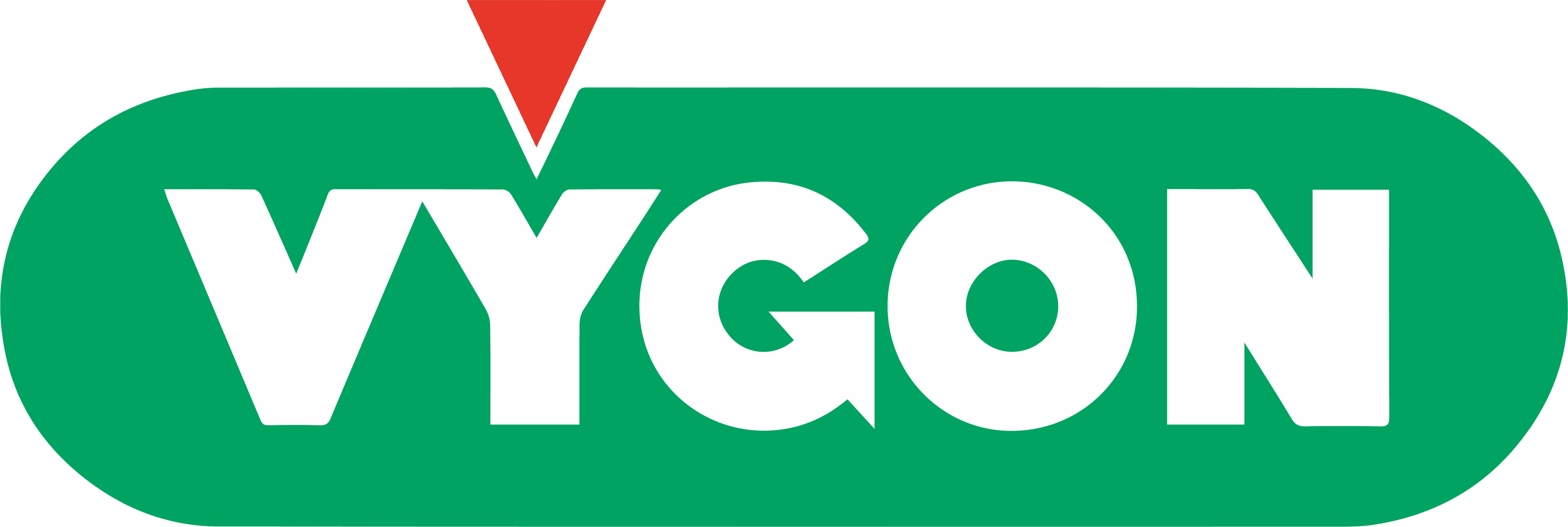 Logo de VYGON